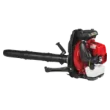 RedMax EBZ7500