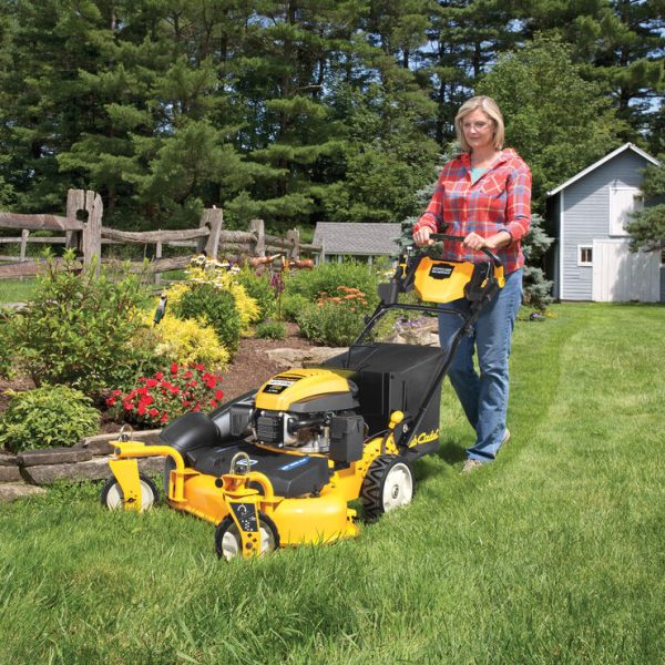 Cub cadet commercial walk behind sale